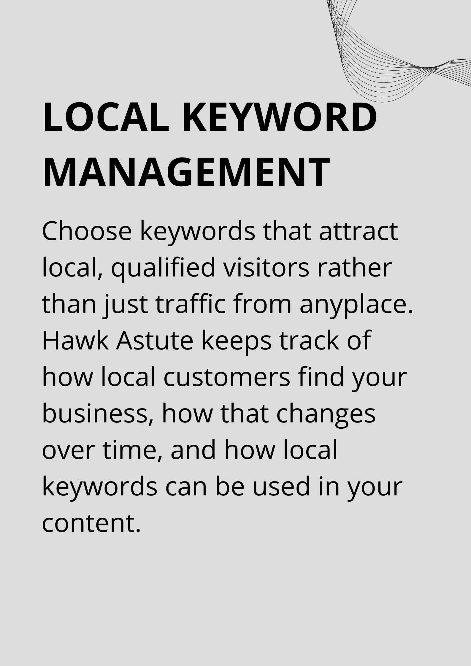 Hawk Astute Local SEO 2